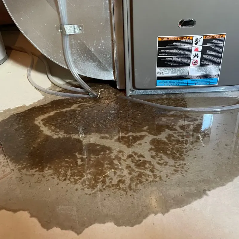 Pipe Burst and Leak Restoration in Sugar Creek, MO